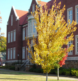 2006 Fall Photo 6